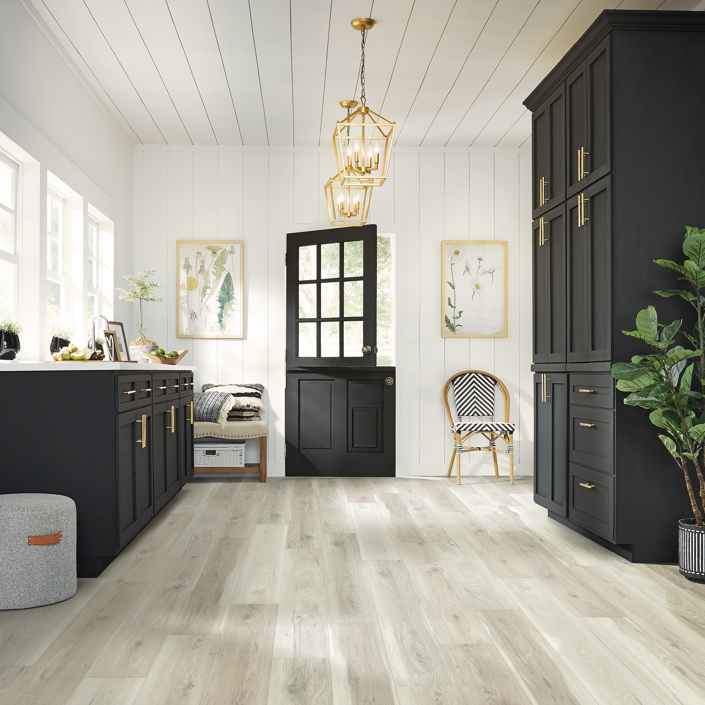 Modern kitchen with black cabinets, light wood flooring, and natural light from multiple windows